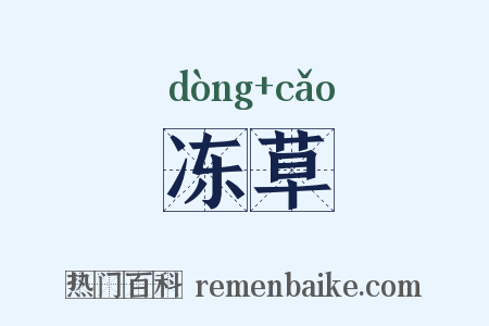 冻草是什么意思的图片